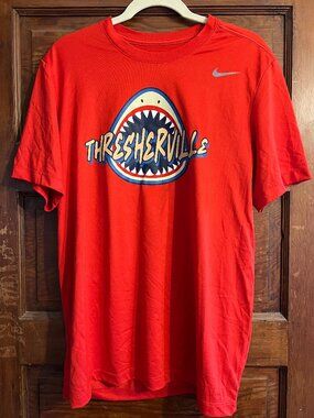 Team Issued Nike Clearwater "Thresherville" Dri Fit T-Shirt Mens L Grey MiLB